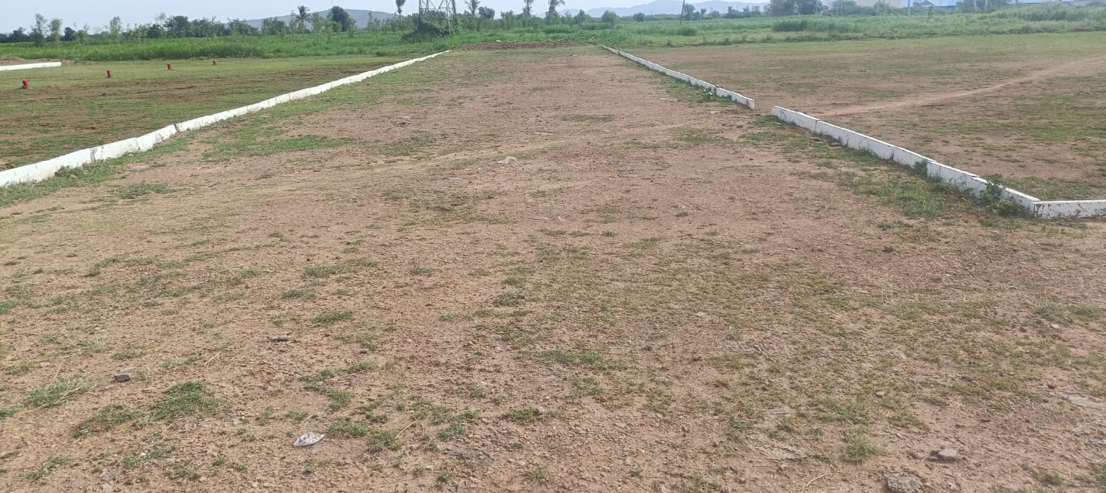 Premium plot for sale near Kadapa